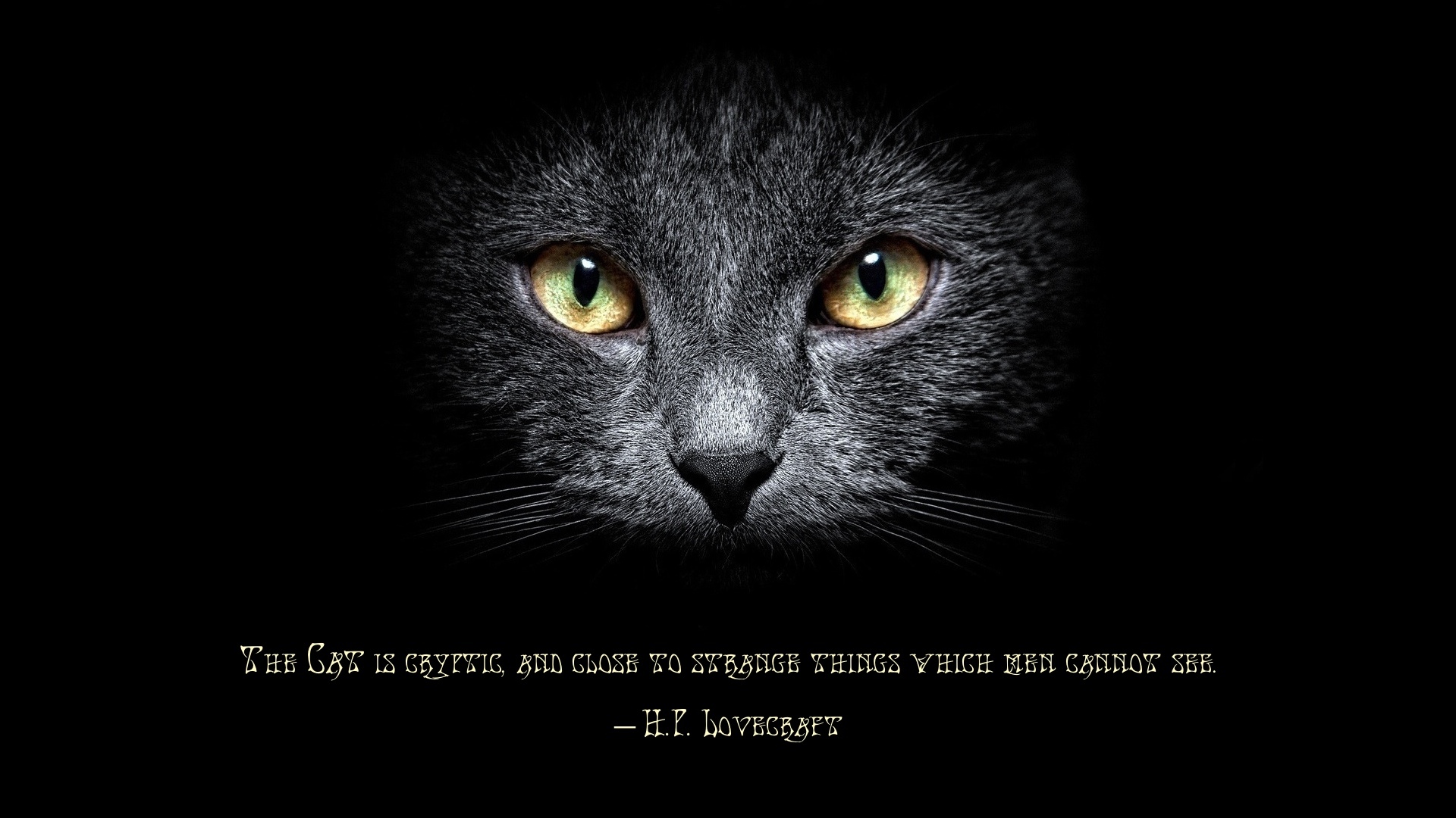 Vrigt Quote Katt Lovecraft Bakgrund