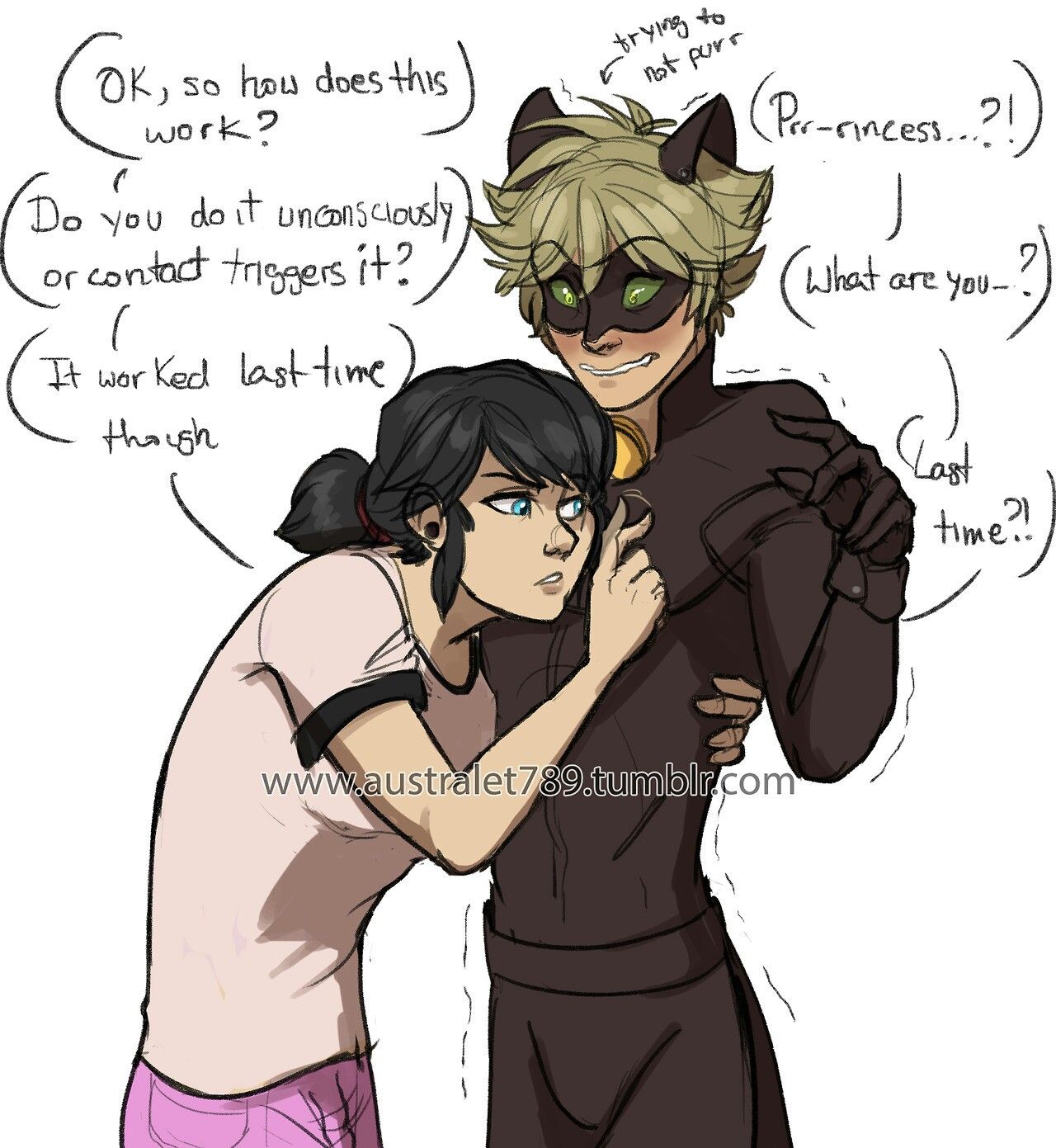 Chat Noir Wallpaper
