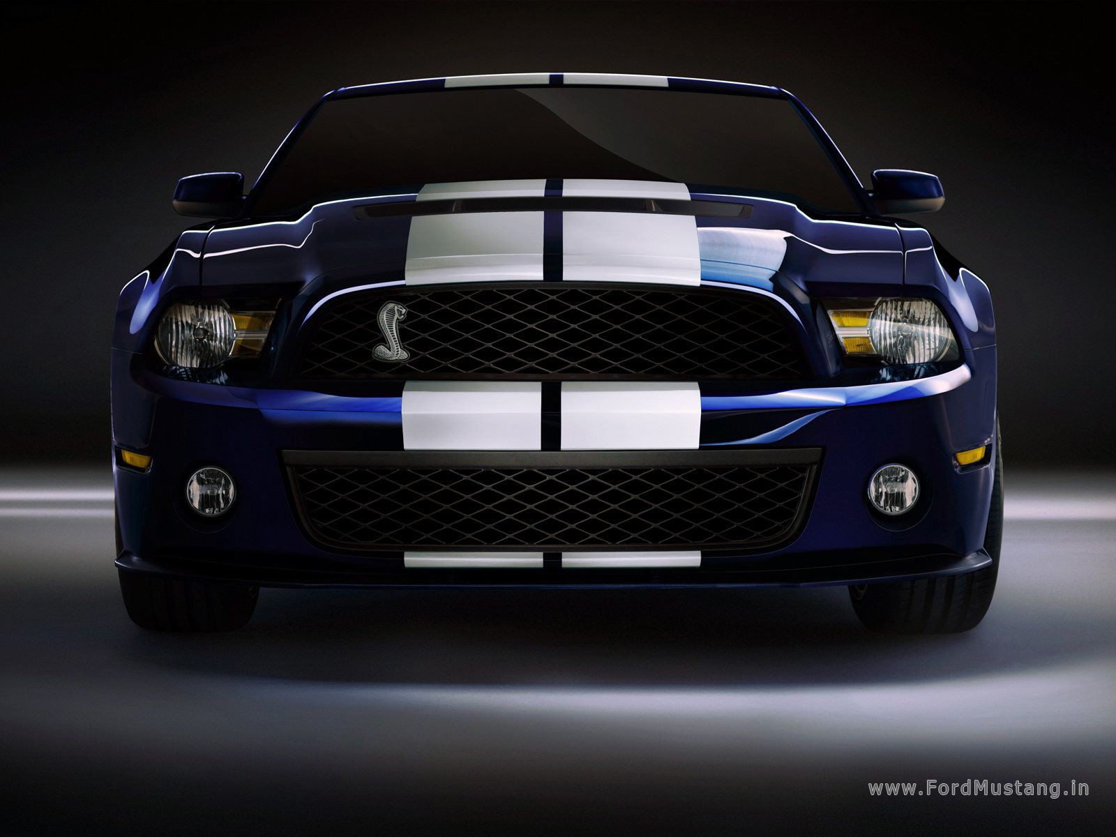 Ford Mustang Shelby Gt500 Wallpaper More