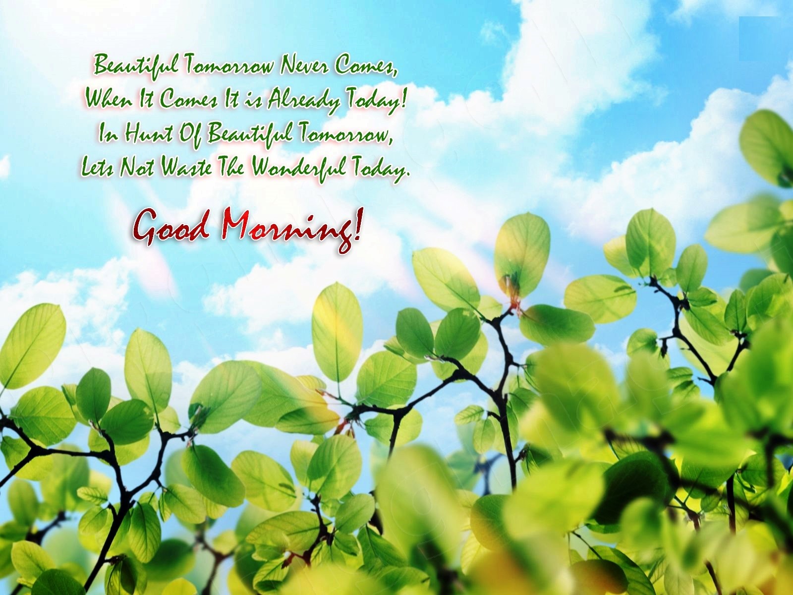 Beautiful Good Morning Wish Quotes For Have Day Wallpaper