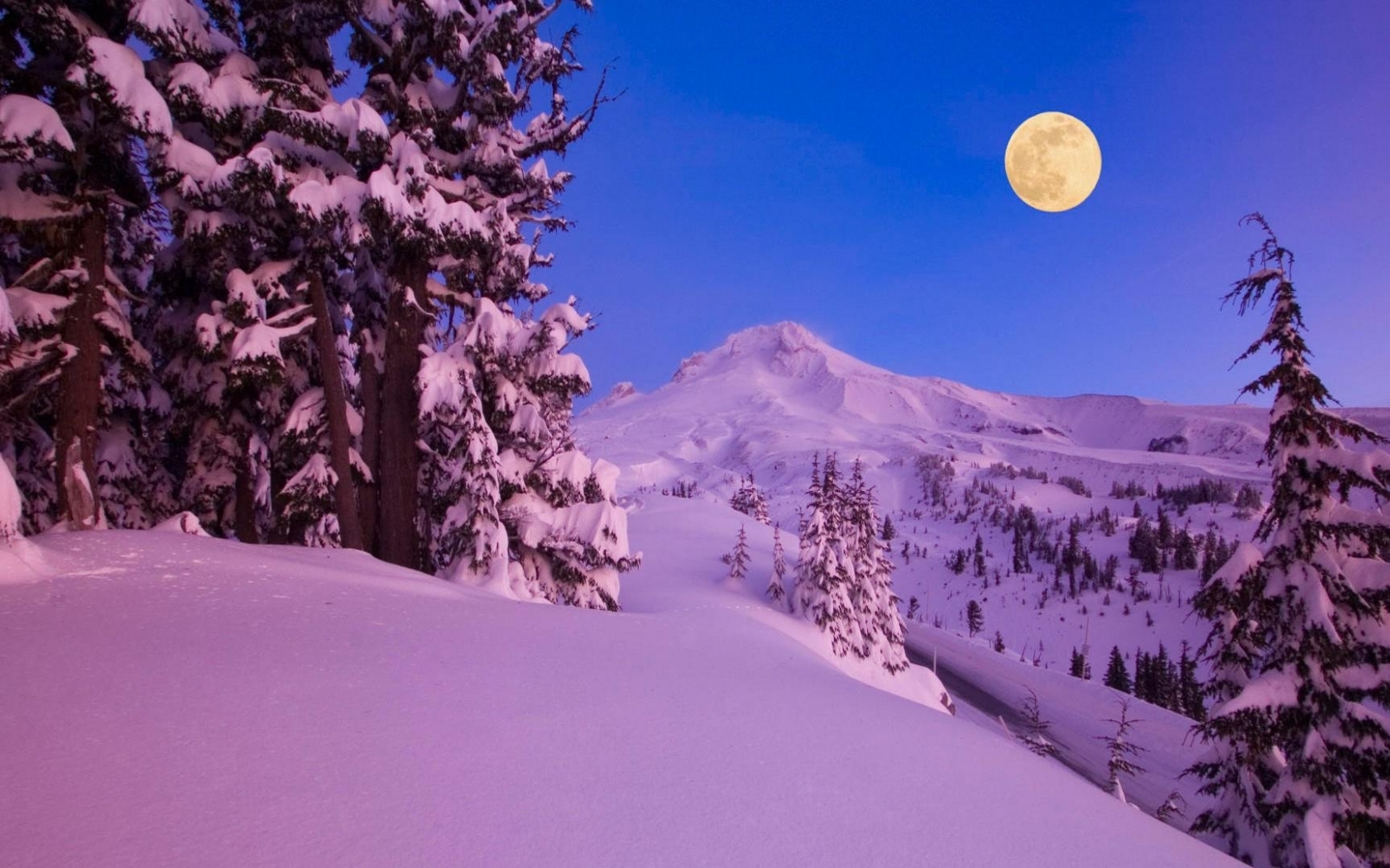 Download Moon light up winter night wallpaper in Nature wallpapers