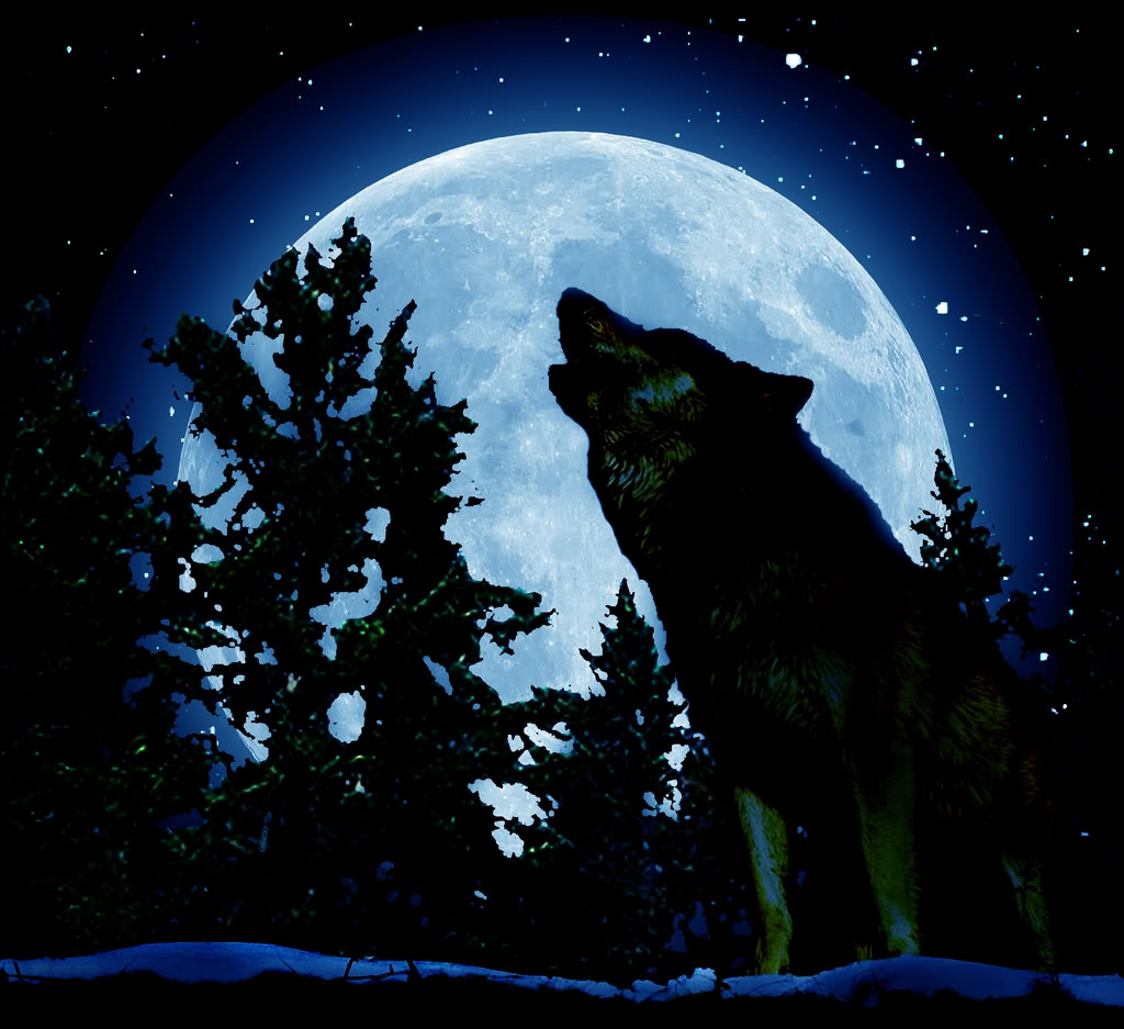 Howling Wolf Background Wolfblues Howlingto Moon