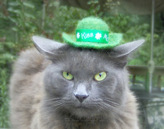 Cat Fashions For St Patrick S Day