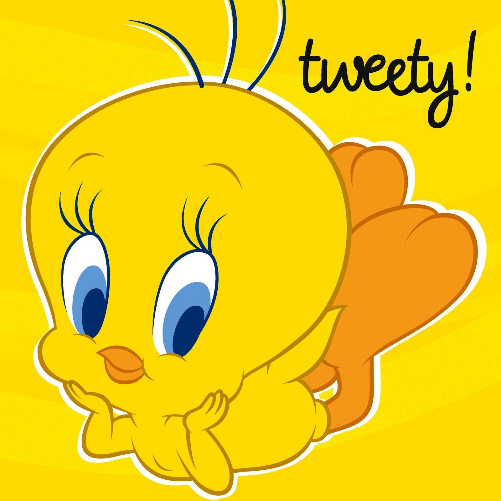 Beautiful Wallpaper Tweety