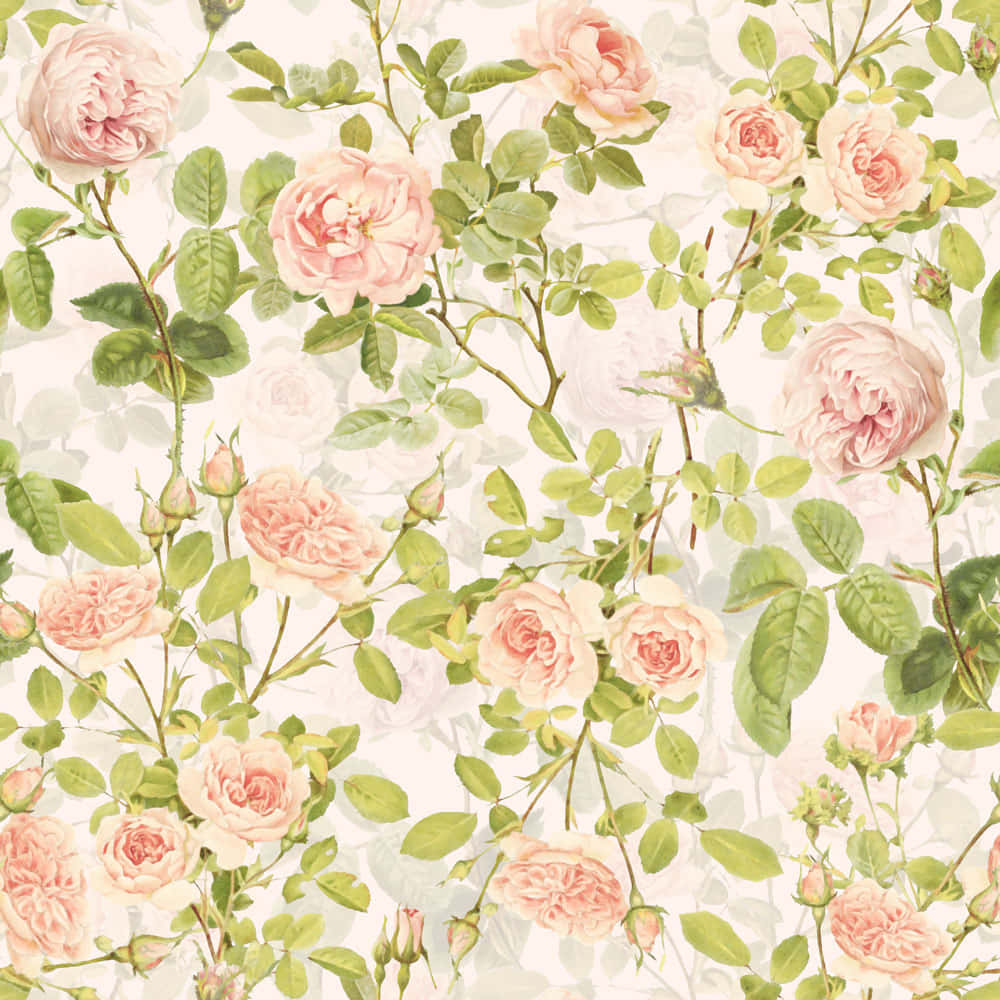 Classic Timeless Vintage Peach Wallpaper