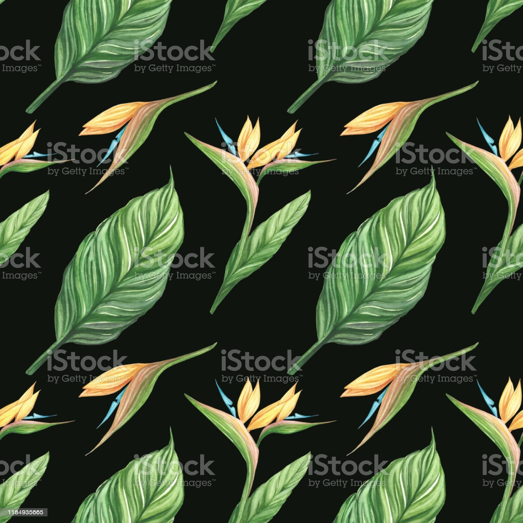 Seamless Watercolor Floral Summer Pattern Background With Tropical
