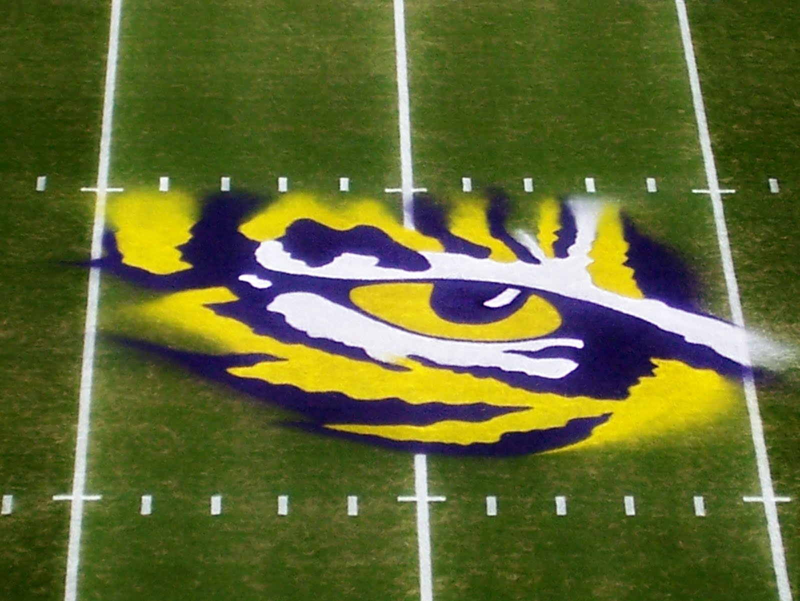 Pen Strokes Of The Author Ode To Tiger Stadium