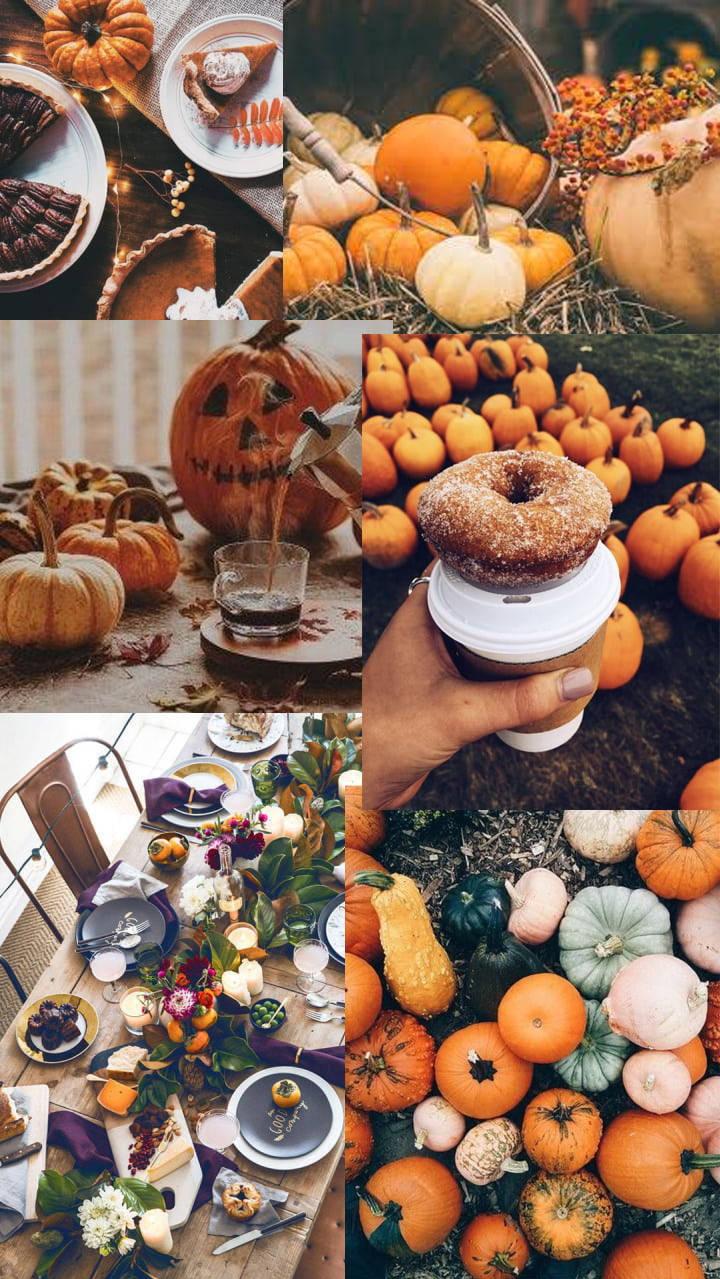 Thanksgiving Aesthetic Wallpaper