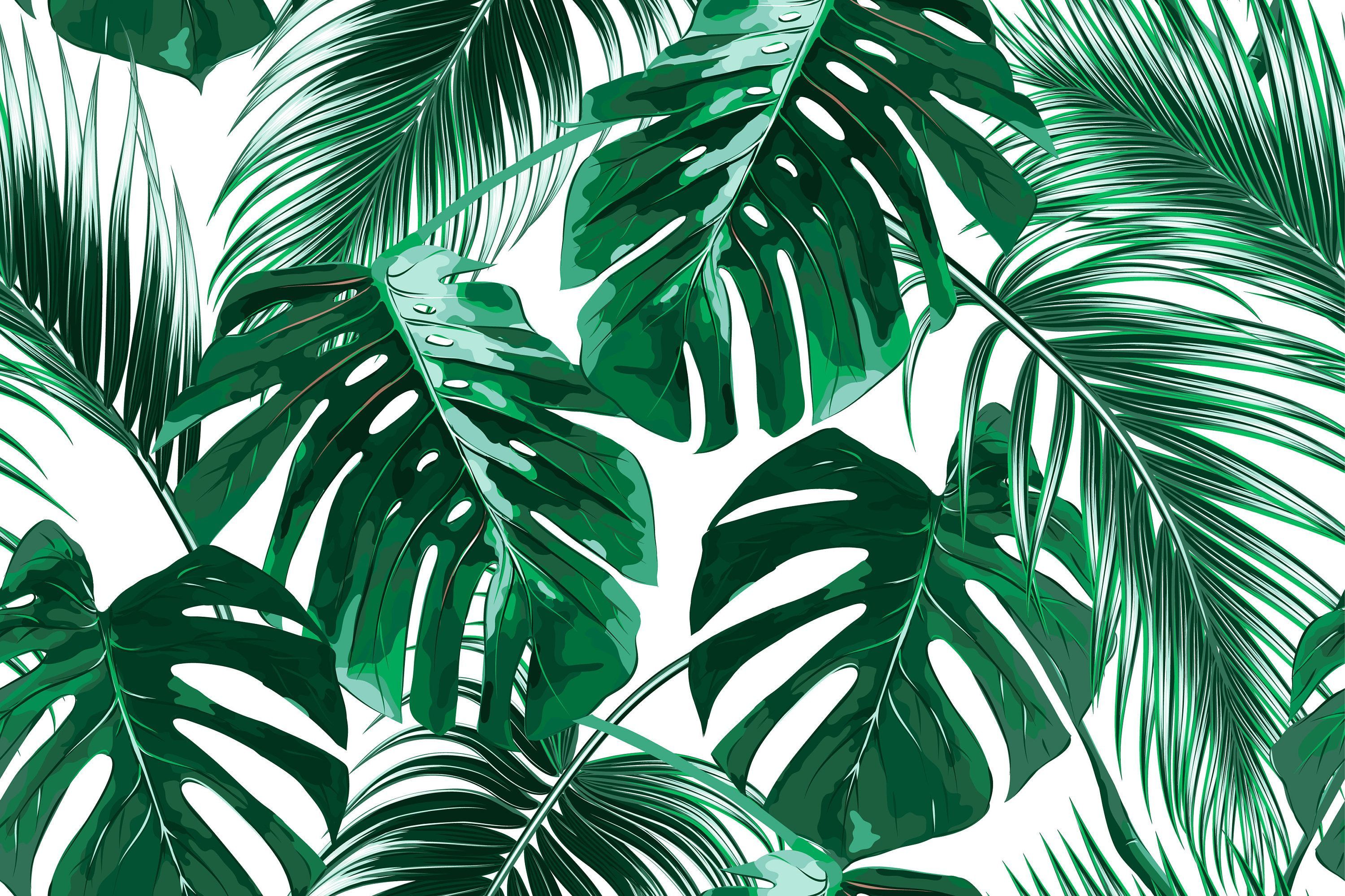 Palm Tree Leaves Wallpaper 4k HD Background