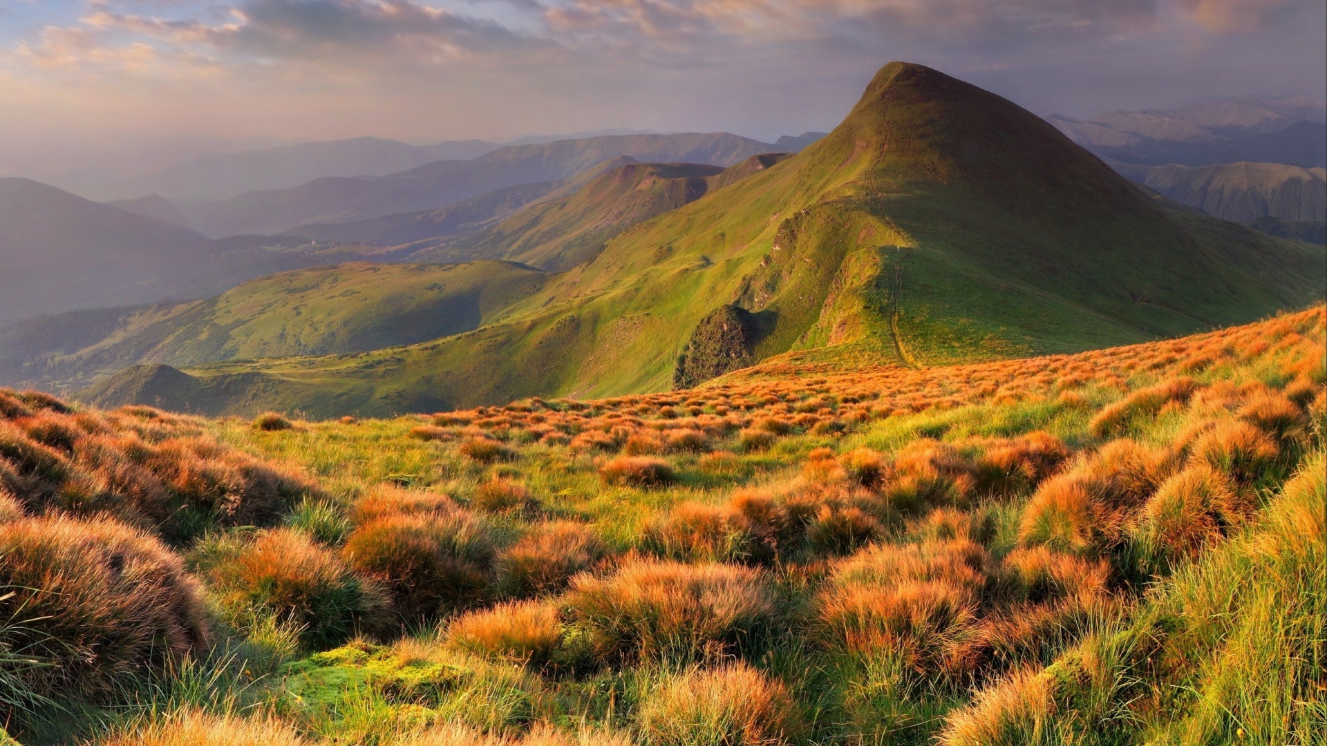 A breathtaking vista of rolling hills and a prominent peak, bathed in the golden light of either sunrise or sunset. The foreground is textured with vibrant orange and green grasses, adding depth to the scene