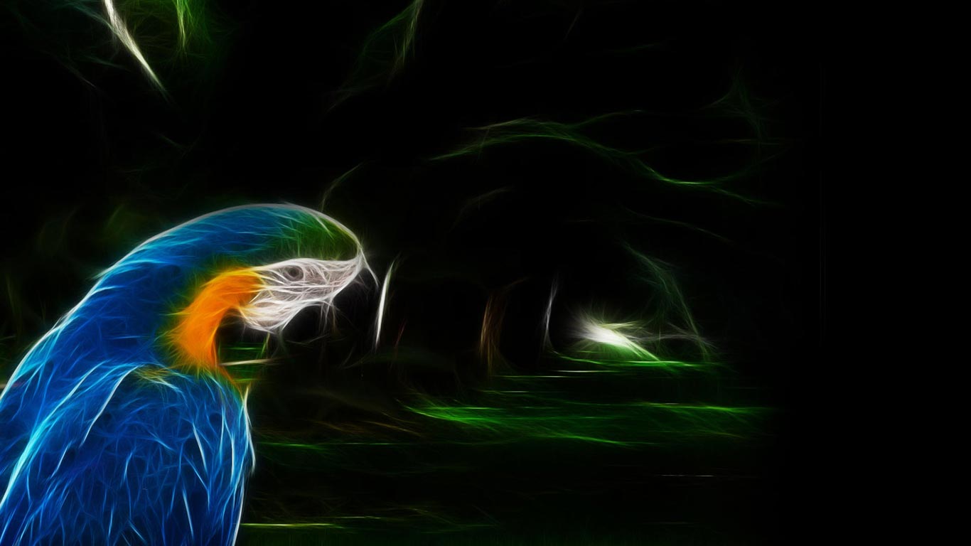 Blue Macaw HD Wallpaper S Background