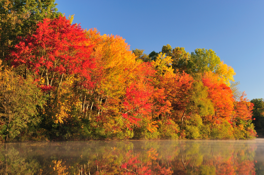 Spectacular Fall Foliage In New Hampshire