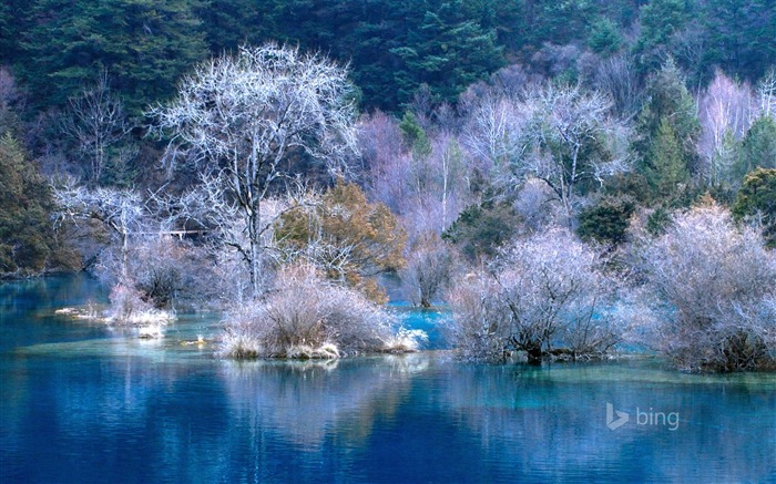 Beautiful Lakes November Bing Wallpaper