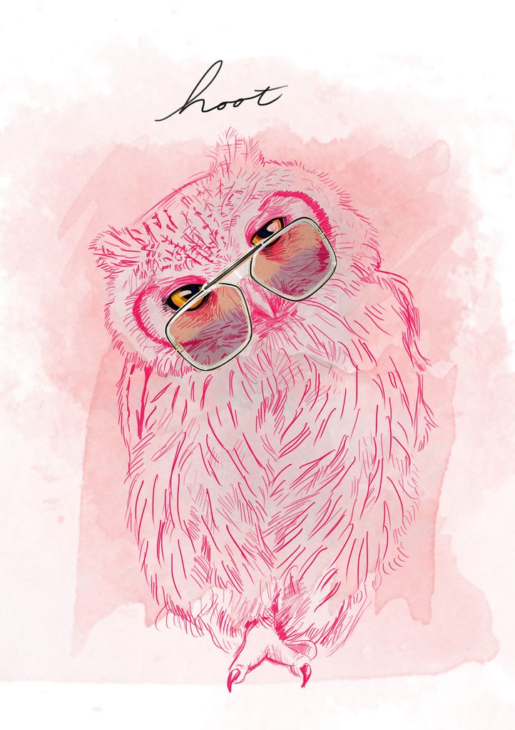 Hoot Owl By Kat Cameron Pinned Myowlbarn Just Owls