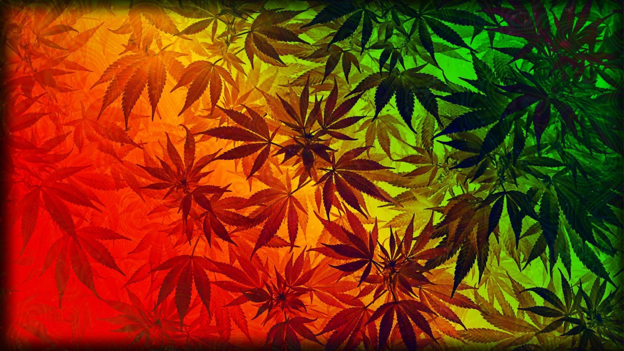 Weed Wallpaper Pics For