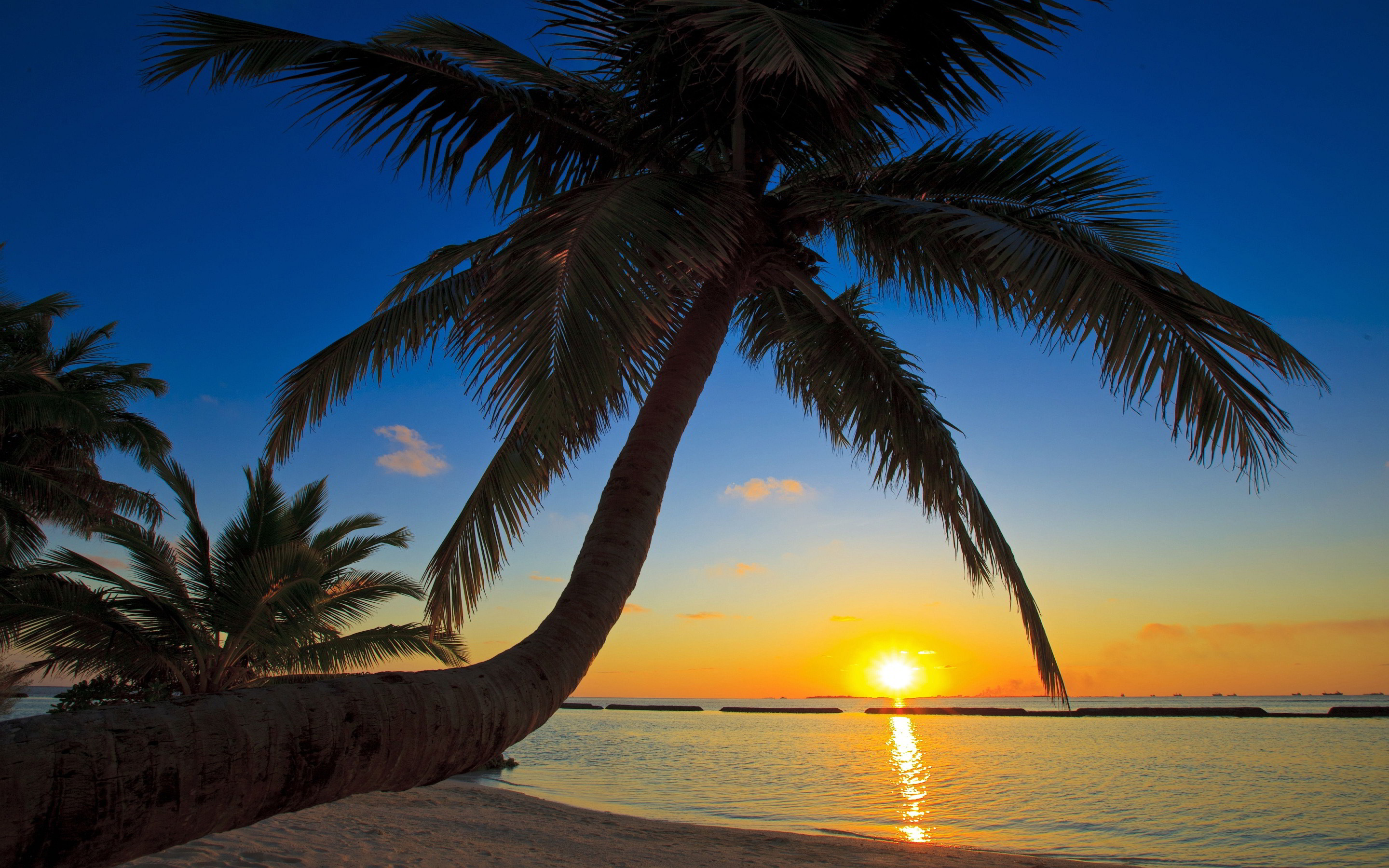 High Resolution Beach Scene Wallpaper