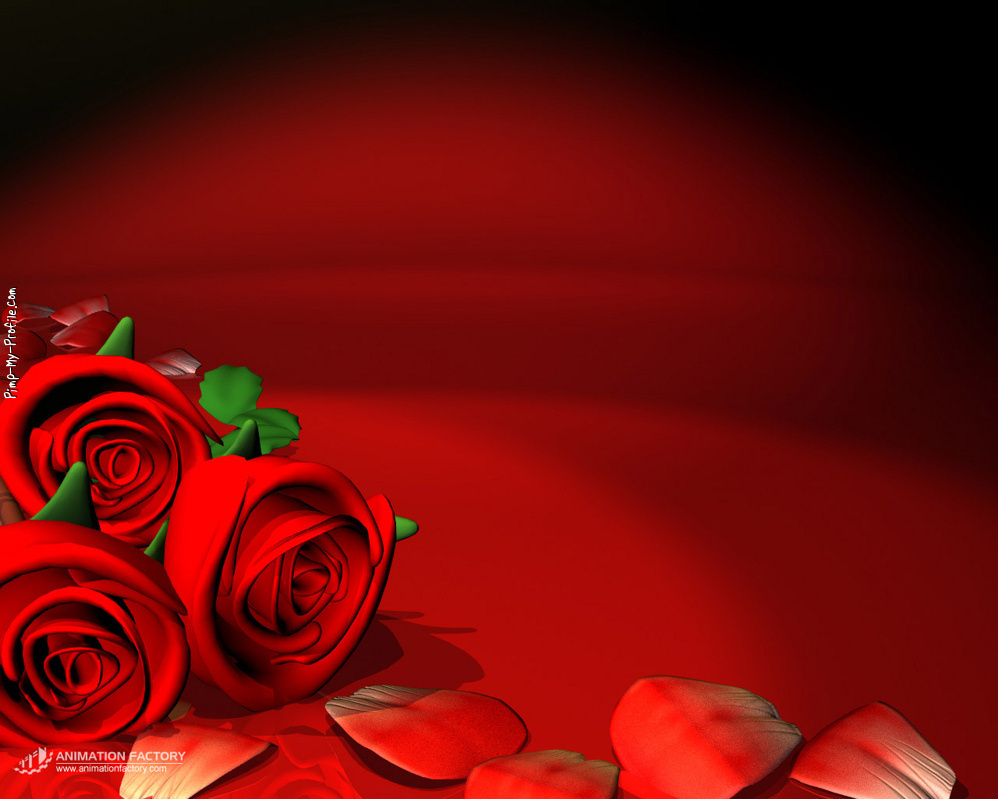 Red Roses On Timeline Cover Background Pimp My Profile