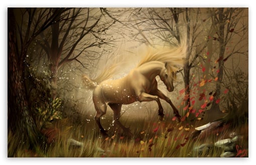 Unicorn Hd Desktop Wallpaper High Definition Fullscreen Mobile