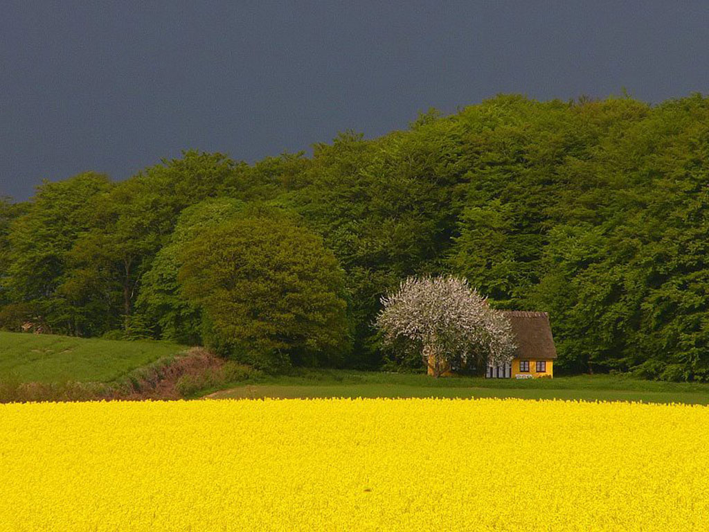 Yellow House Scenic Wallpaper Image Featuring Landscapes