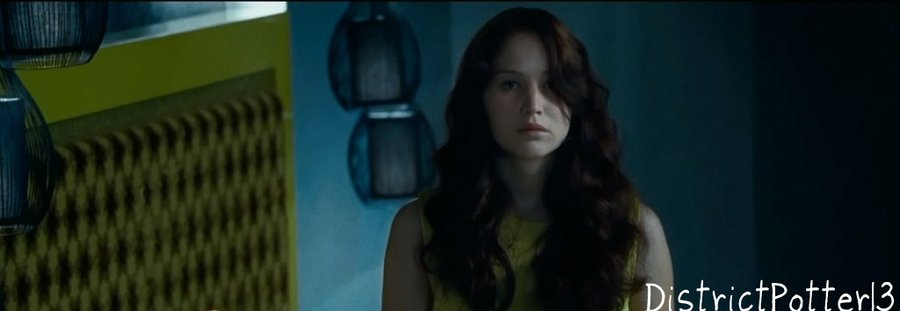 Katniss Everdeen By Districtpotter13