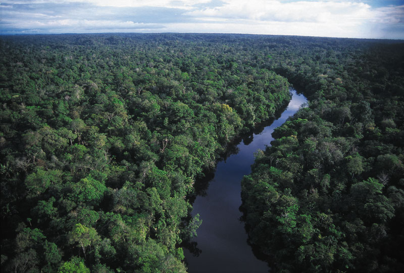 Hill On The Northeast Edge Of Amazon Rainforest Wallpaper Gallery