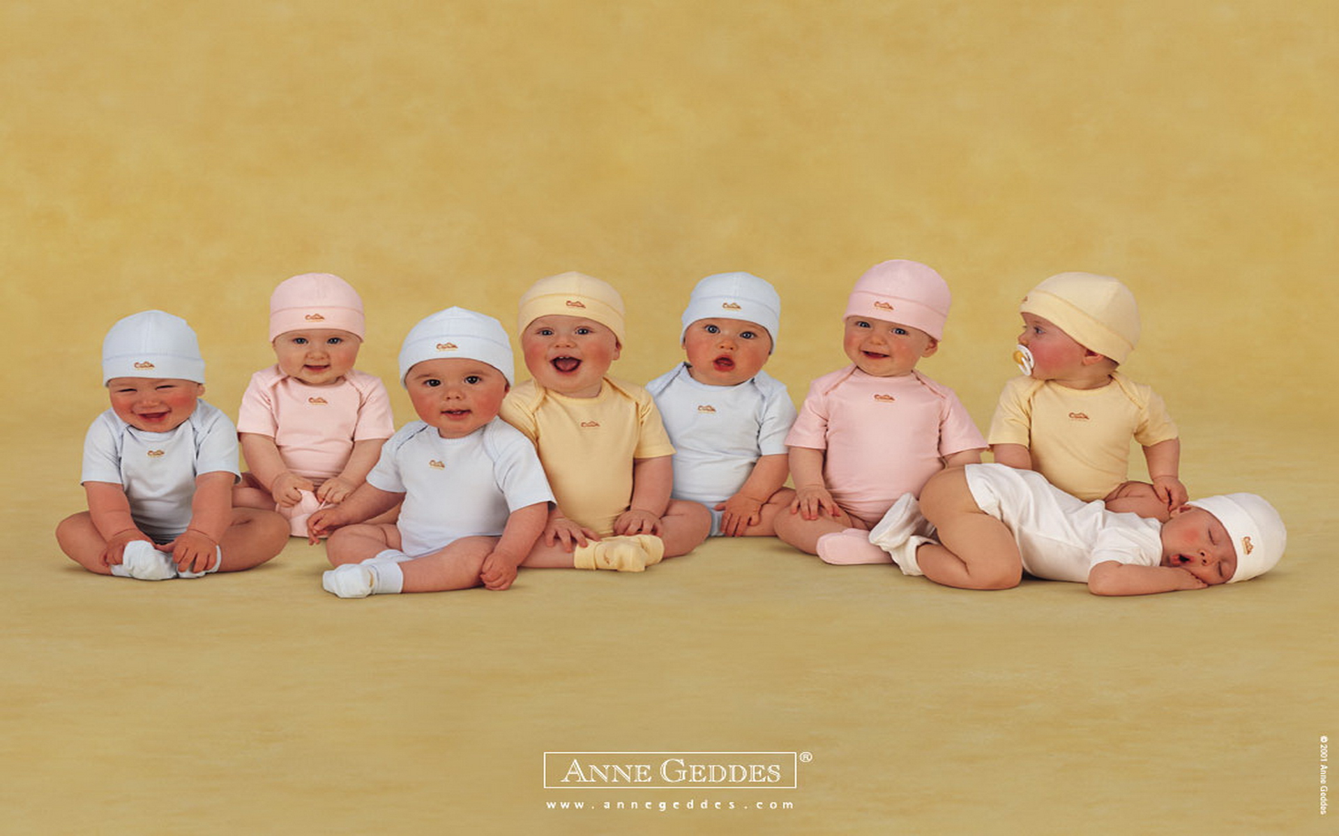 Related Pictures Anne Geddes Christmas Babies Wallpaper Mmr Home Car