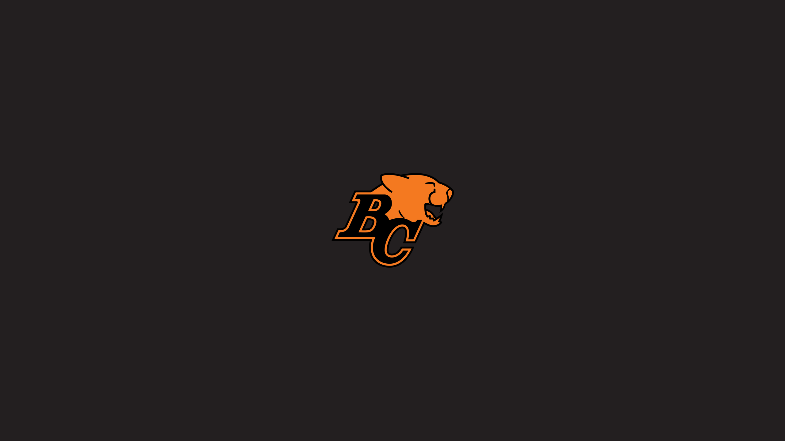  50 BC Lions Wallpapers WallpaperSafari