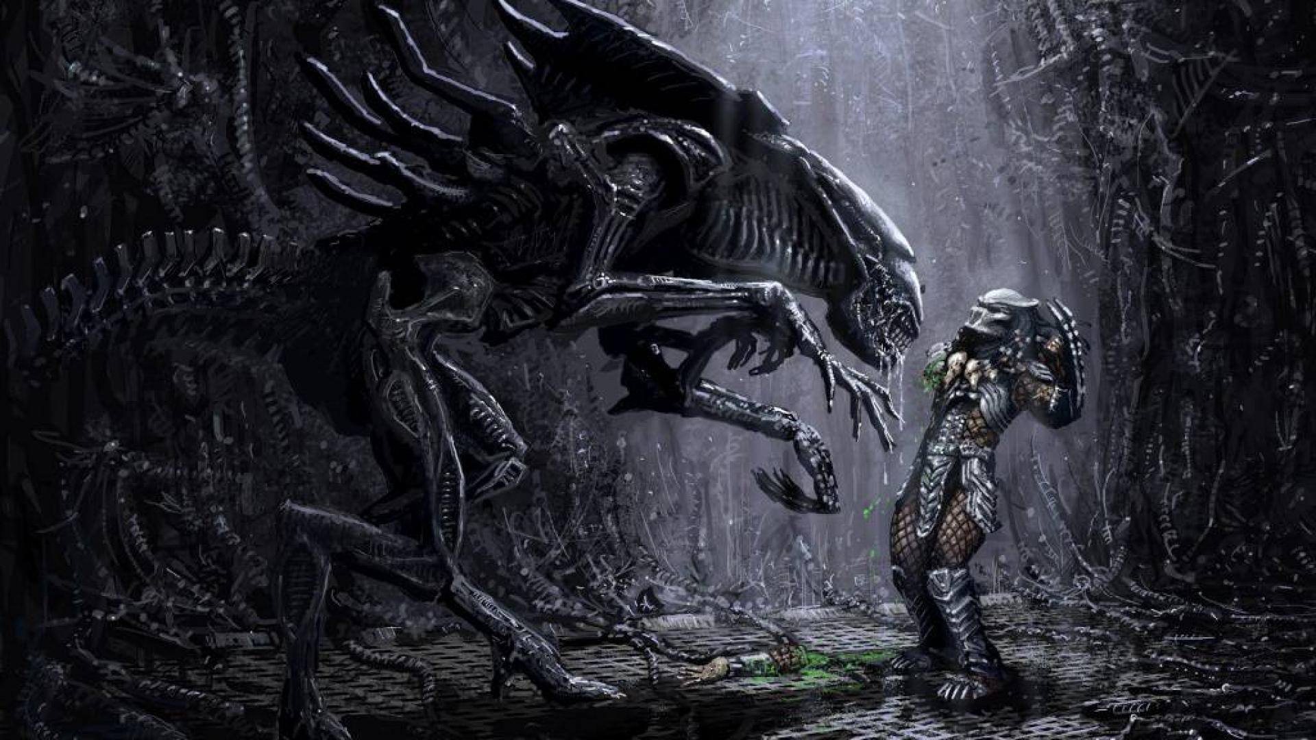 Predator Alien Queen Vs Pred Hell Yeh Wallpaper Hq