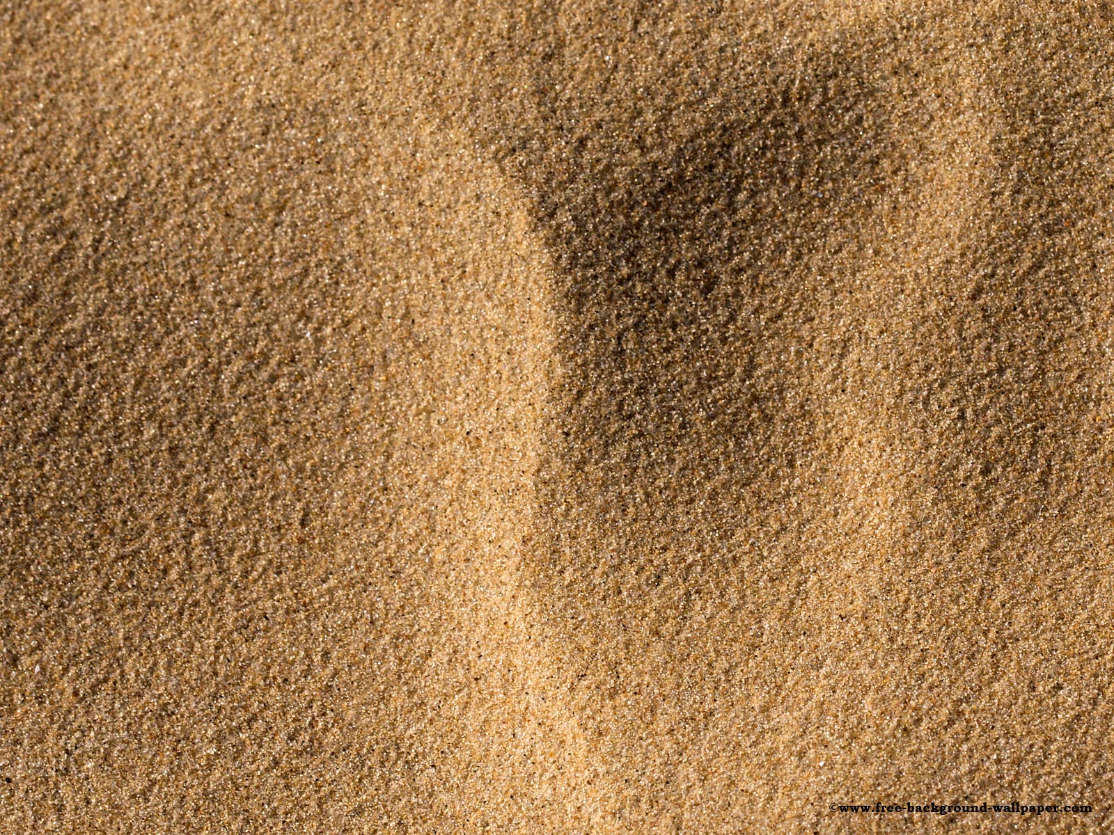 Free beach background wallpapers of soft light brown sand on a beach