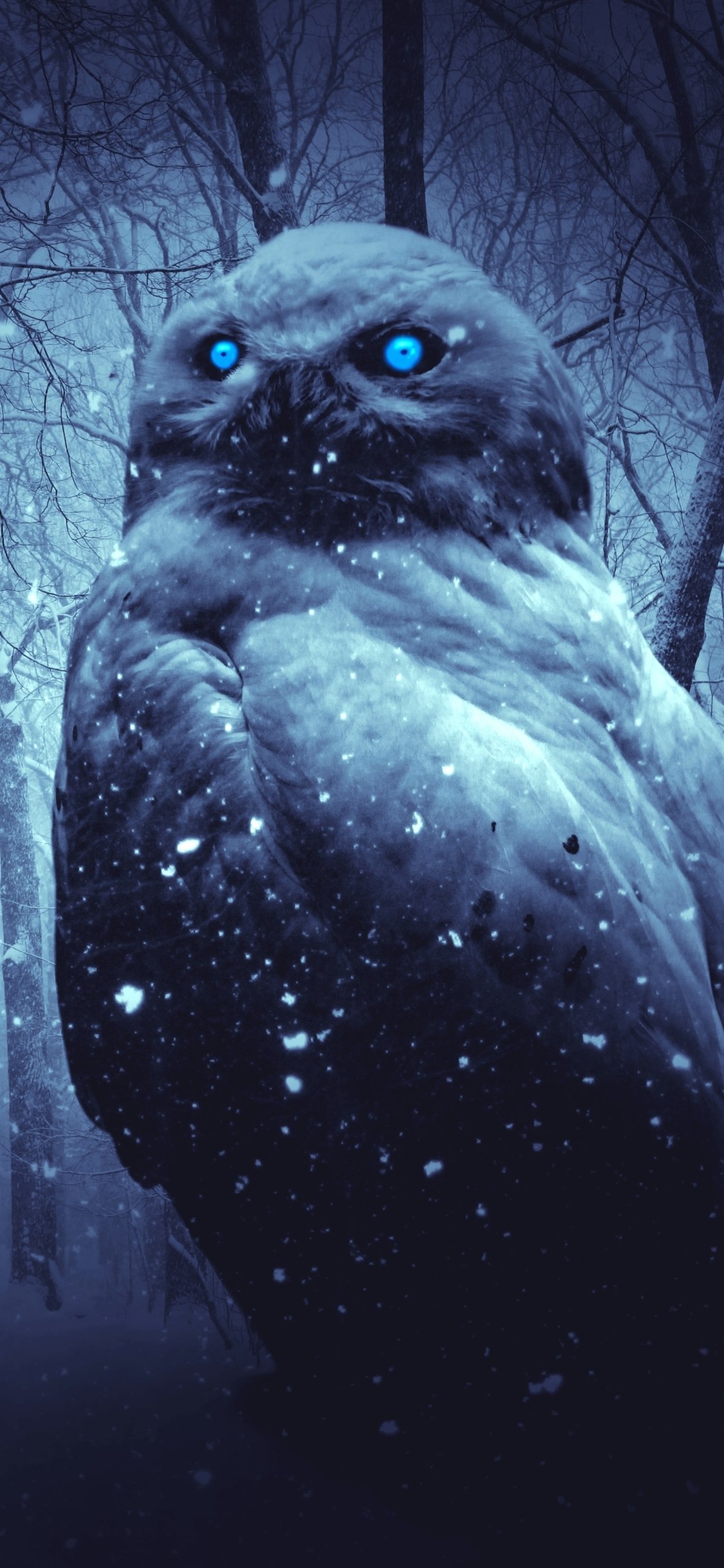 Owl In A Dark Winter Forest