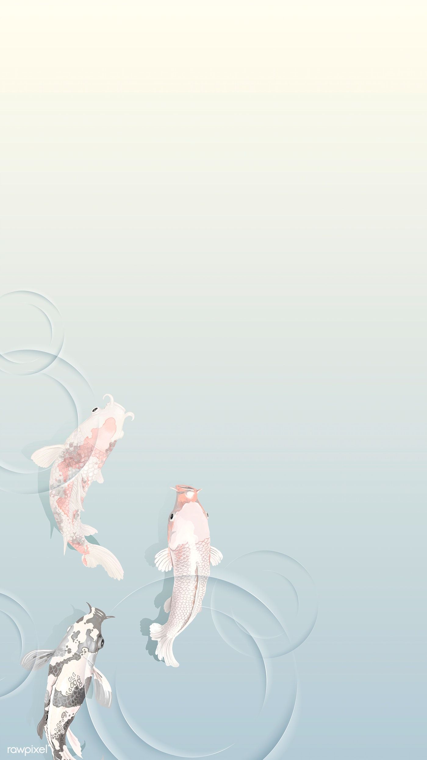 Koi Fish Wallpaper For iPhone