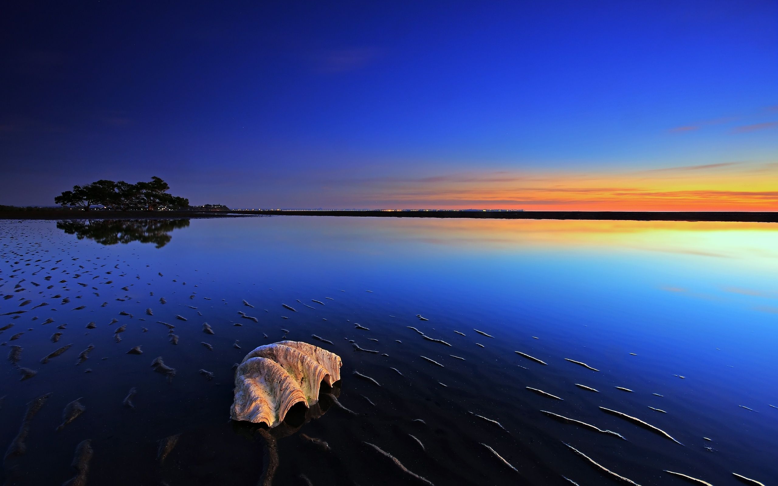 Seashell Evening Water Landscape Nature Wallpaper HD