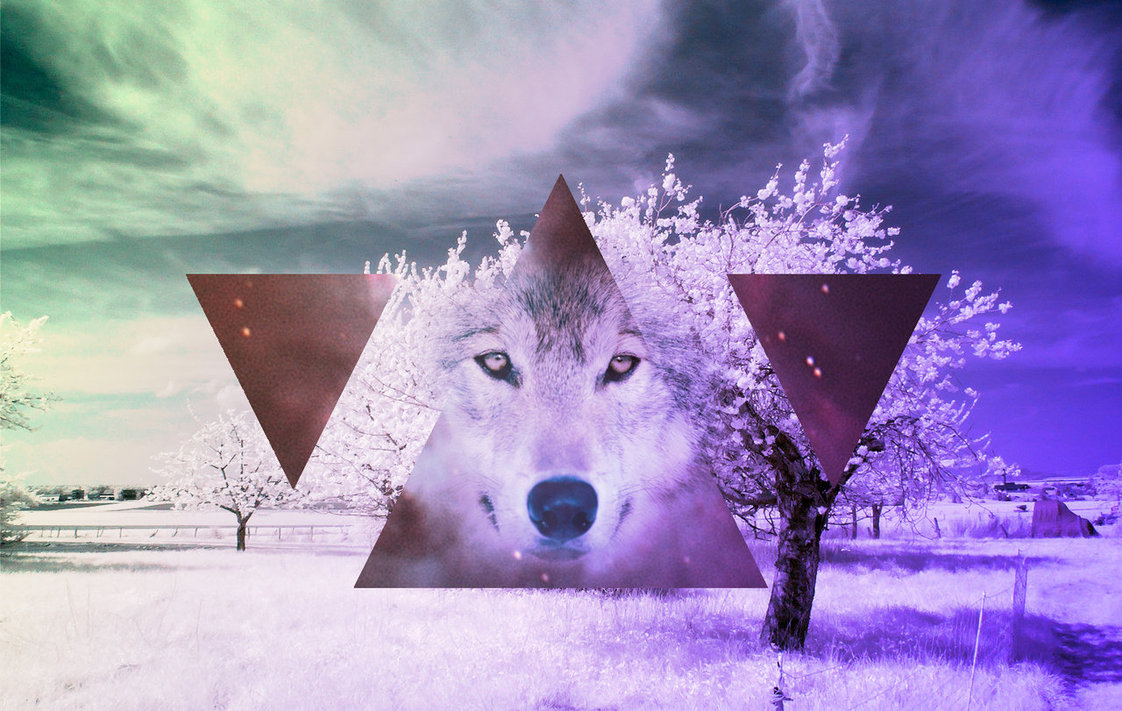 Hipster Wolf Wallpaper HD On Picsfair