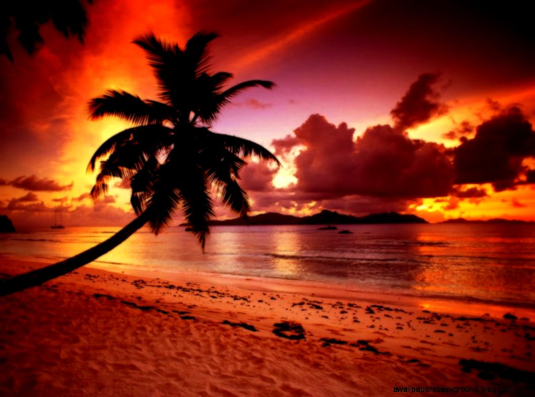 Beach Paradise Sunset Wallpaper Background