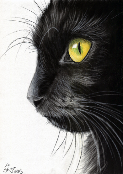 Black Cat Profile By Art It