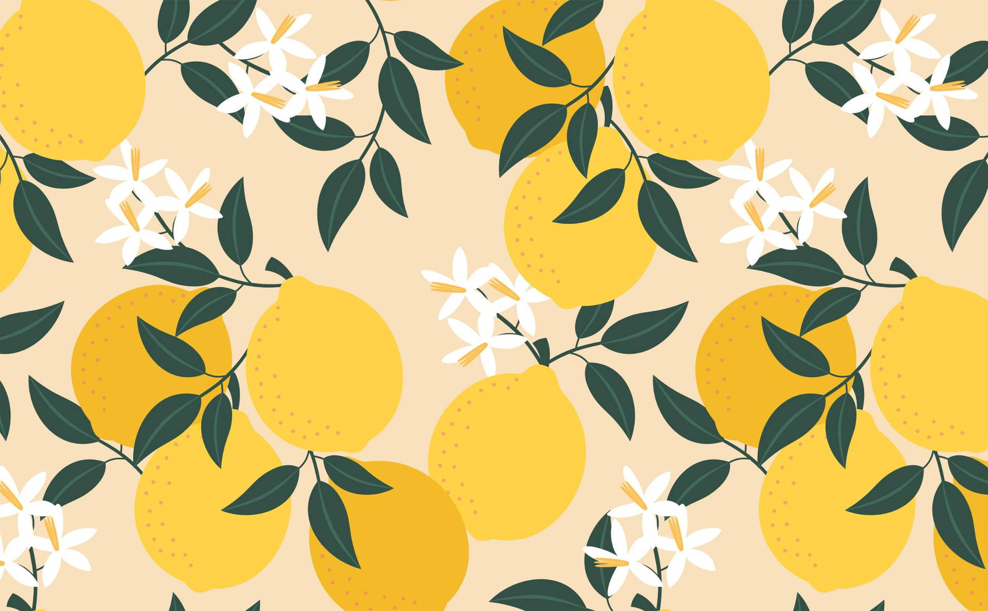 Top Lemon Wallpaper Full HD 4k To Use