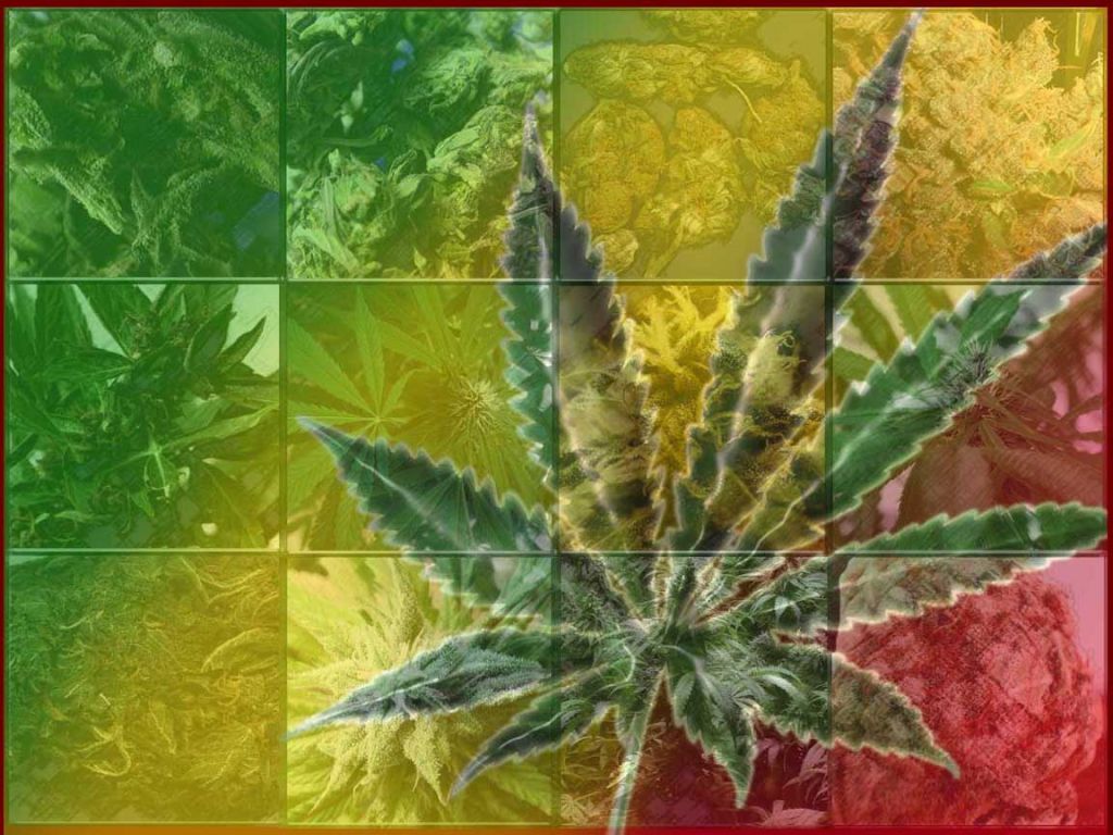 Cannabis Wallpaper Desktop Background