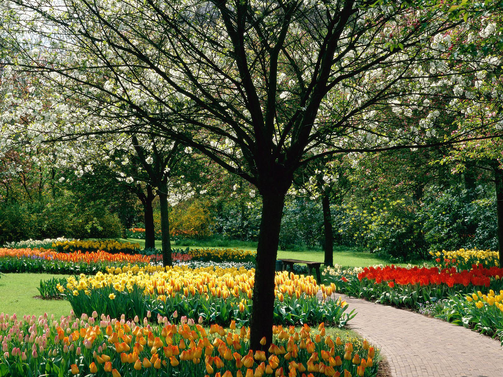 wallpapers Spring Desktop Wallpapers and Backgrounds