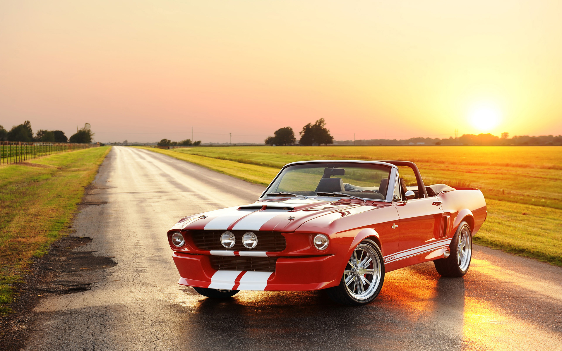Ford Mustang Shelby Gt500 Red Sunset Wallpaper Car