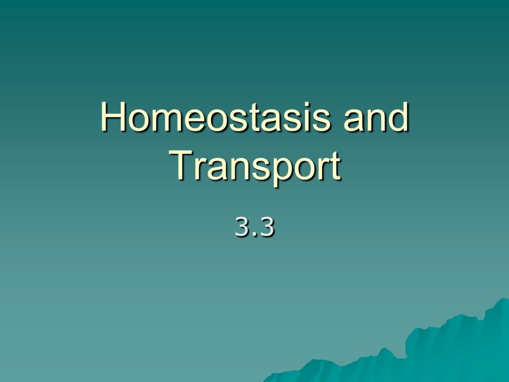 Homeostasis And Transport