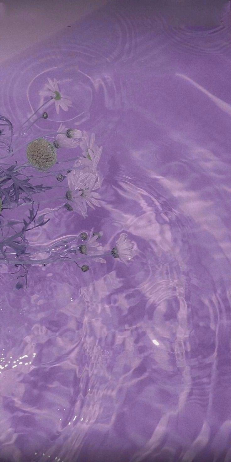 Purple Aesthetic Wallpaper