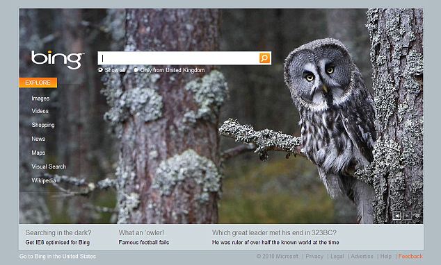 Bing S Home Today Which Shows A Picture Of An Owl Google Appeaars