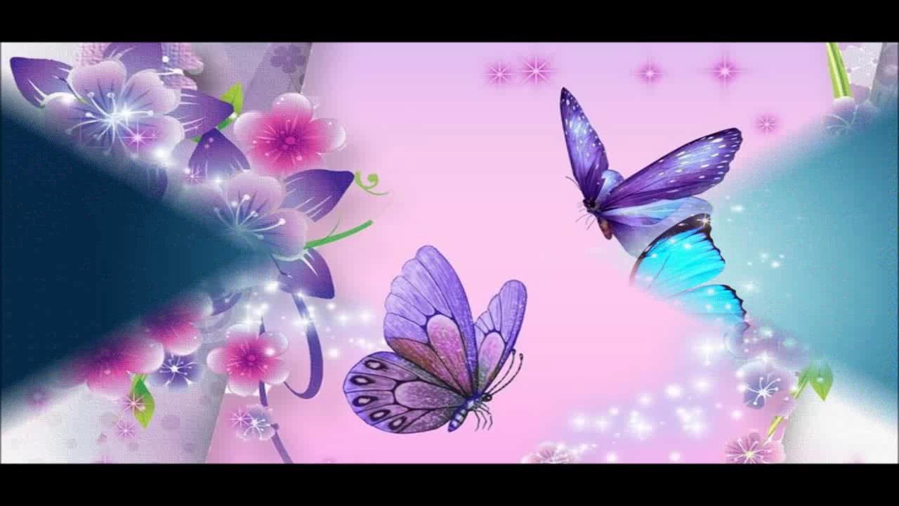 Beautiful Butterfly Wallpaper HD Pictures