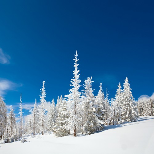 Winter Landscapes For iPad Wallpaper