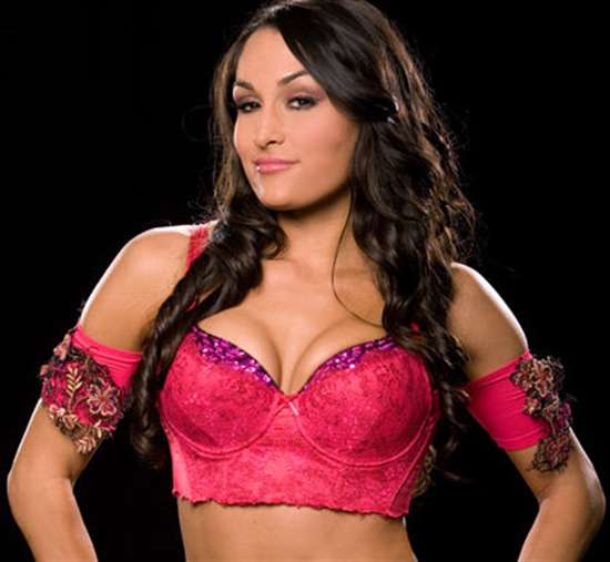 Wwe Diva Brie Bella Wallpaper Photosjunction