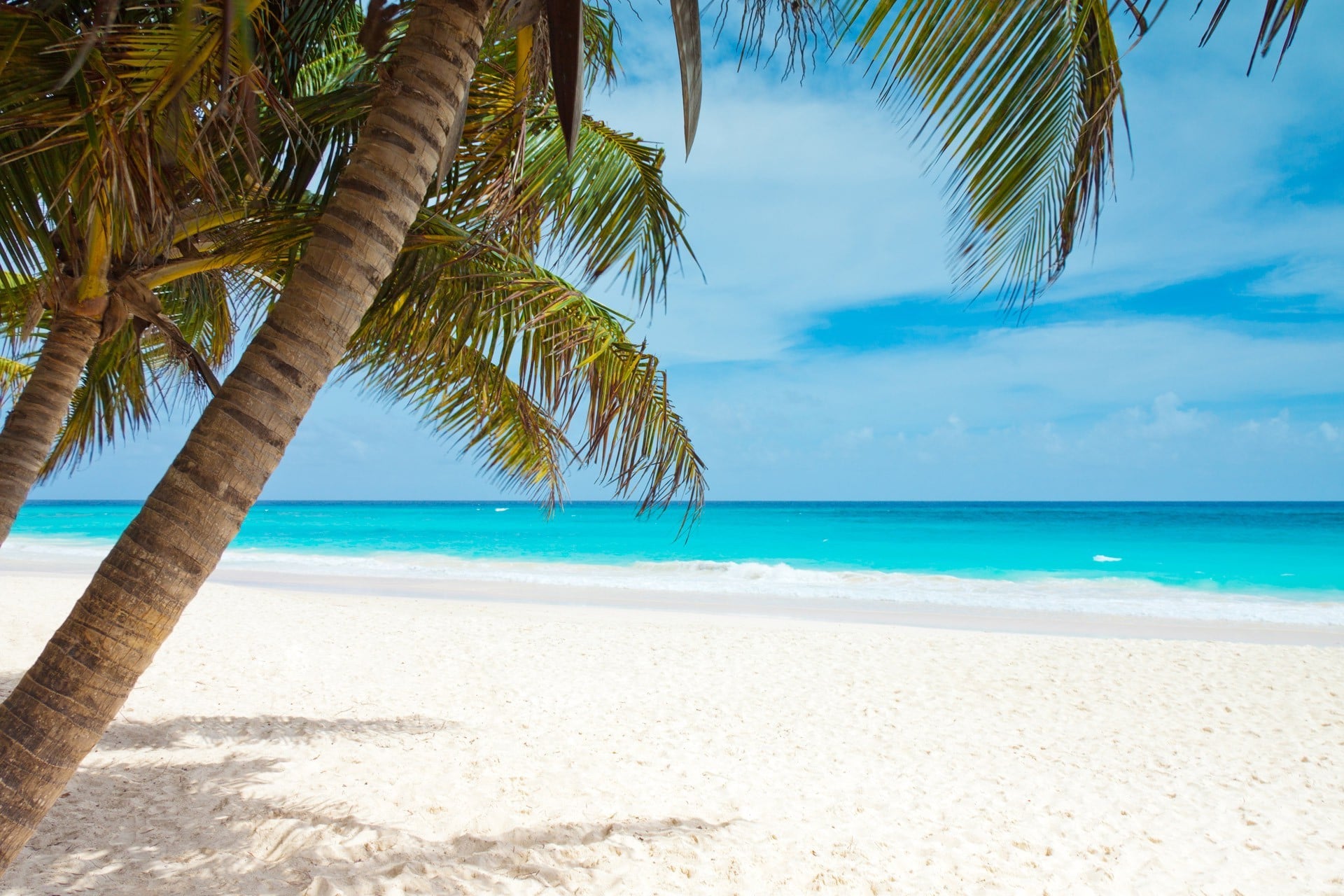 Caribbean Beach Desktop Wallpaper