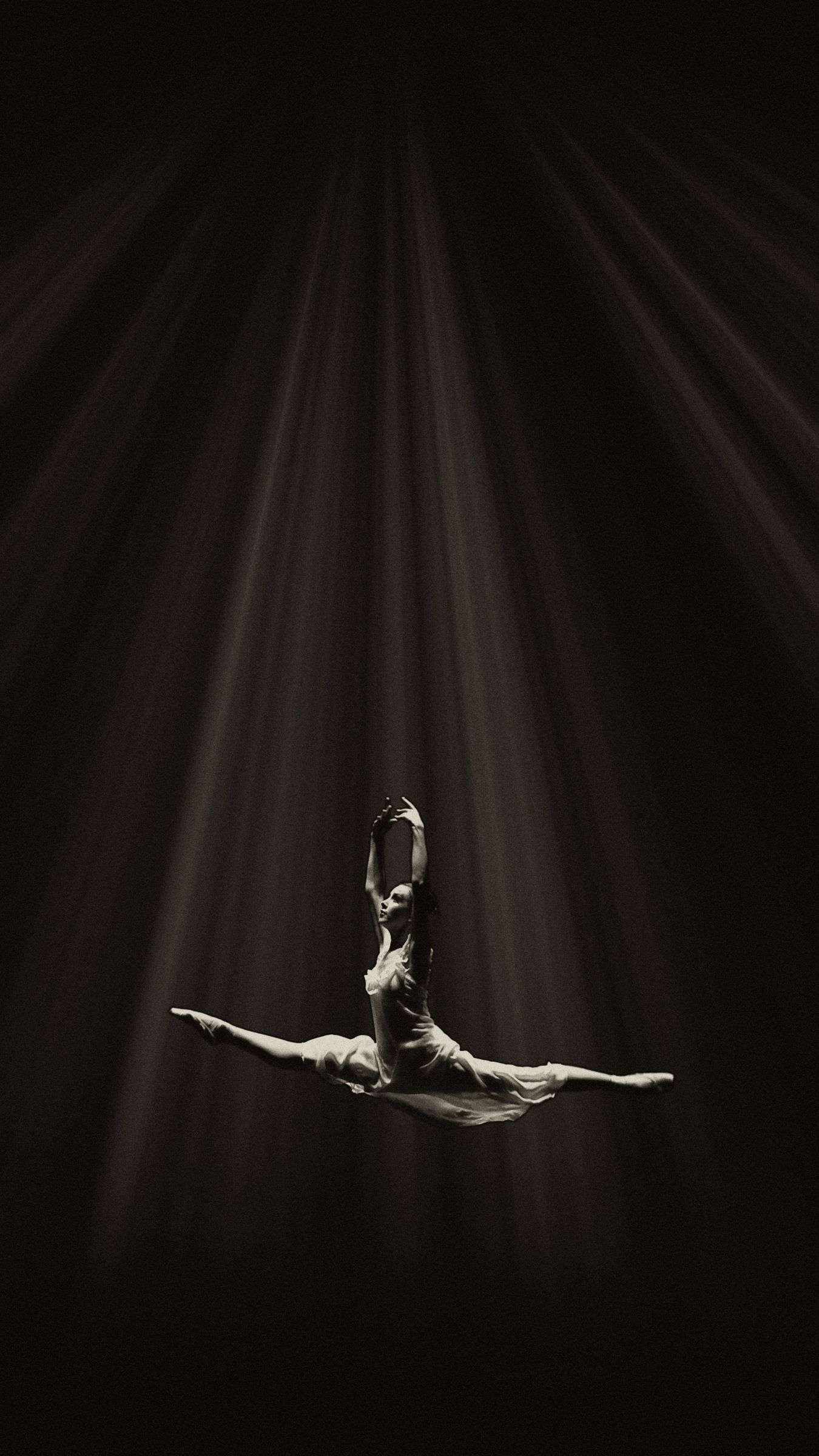 Wallpaper Ballerina Ballet Dance Bw Flight