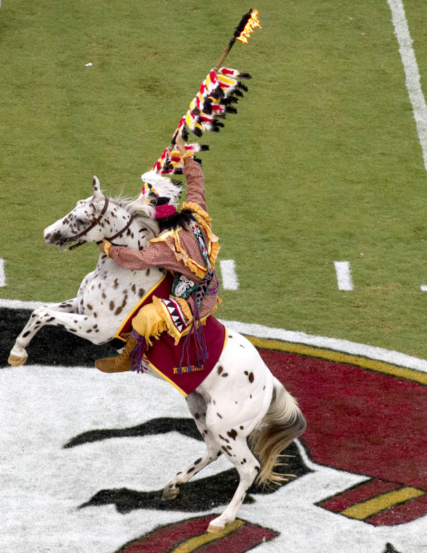 Photo Gallery   Florida State Seminoles Official Athletic Site