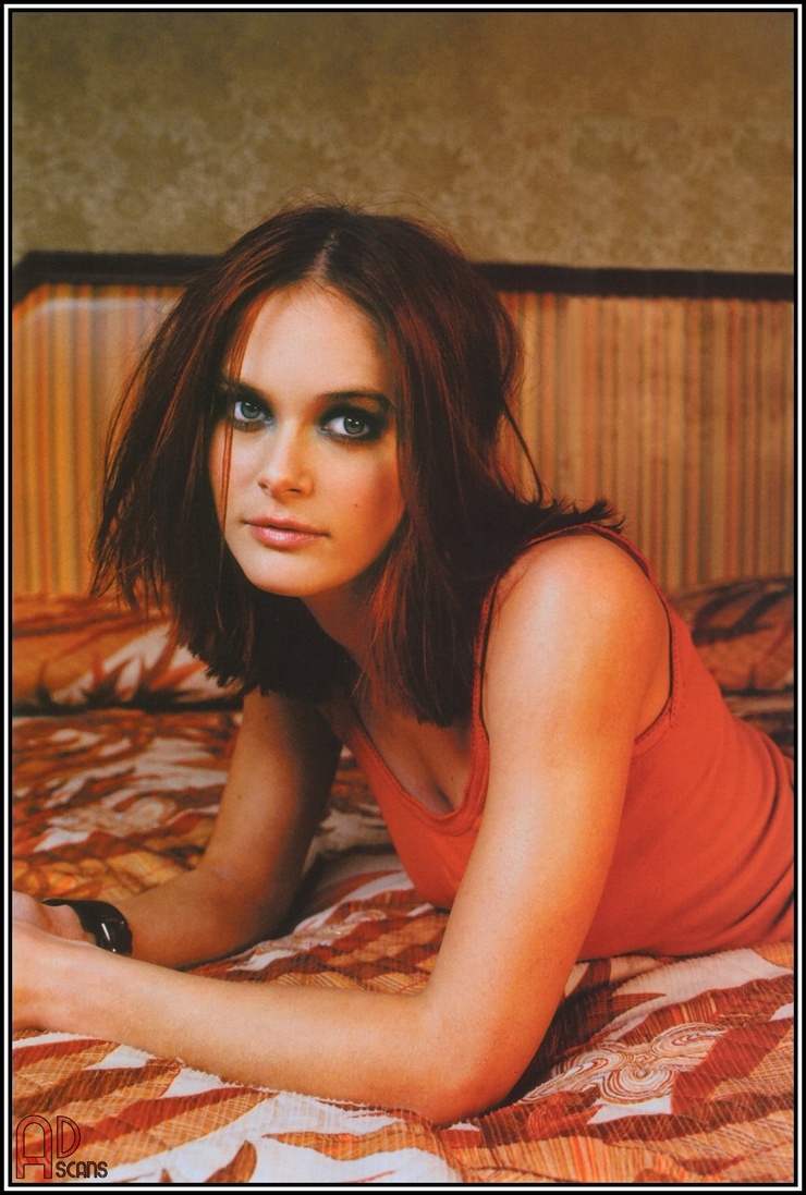 Picture Of Rachel Blanchard Wallpaper