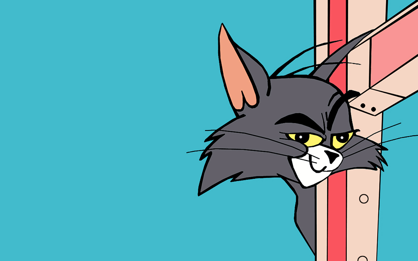 Tom and Jerry Looney Tunes HD Cartoon Wallpapers Cartoon Wallpapers 1600x1000